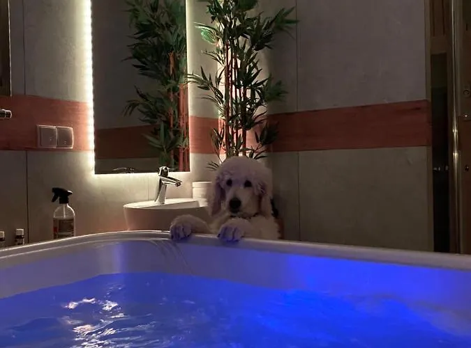 Góralska Bajka Villa Miedzybrodzie Zywieckie